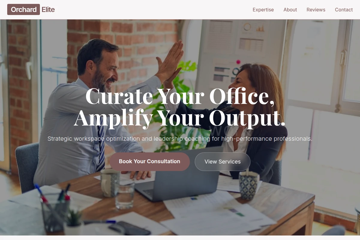 Apex Business Coach