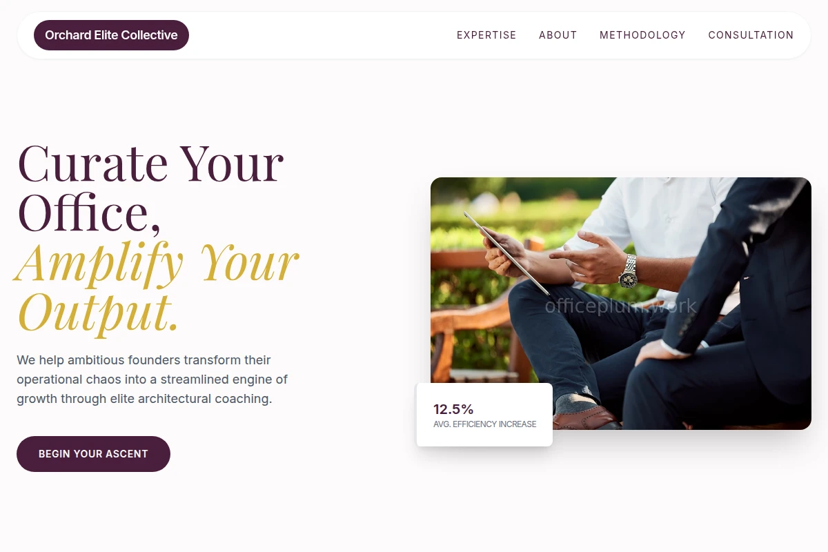 Portfolio Business Coach